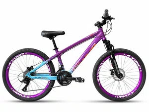 Bicicleta a26 viking tuff-44 peak 21v roxa/azul/laranja