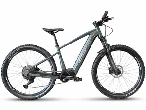Bicicleta a29 oggi bw 8.3 2026 shimano cues 11v grafite/vermelho/preto