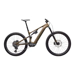 Bicicleta Specialized Levo Expert G4 GX Eagle T-Type 12v Dourado