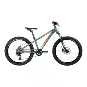Bicicleta Colli Aro24 Napoli 7v Verde Militar