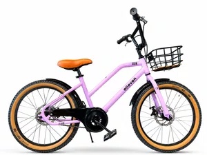 Bicicleta Elleven  Aro 20 Elly Com Cesta Rosa e Pretaㅤㅤ