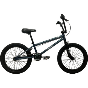 Bicicleta Pro-X Série Aro 20 Camaleão
