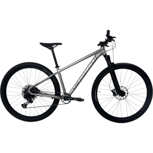 Bicicleta Specialized RockHopper Expert Aro 29 Sram SX 12V Prata - SemiNova