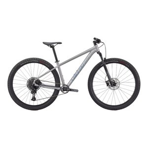 Bicicleta Specialized Rockhopper Expert Aro 29 SX 12v Prata