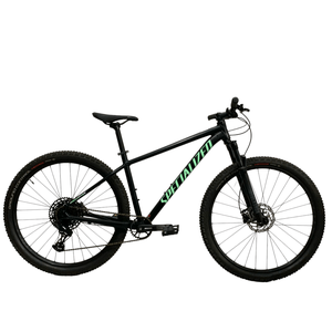 Bicicleta Specialized Rockhopper Expert Aro 29 SX 12v Verde