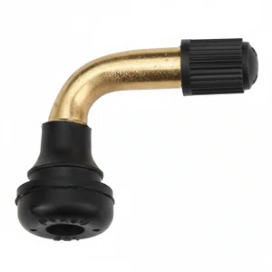 Bico De Ar Curvo Para Scooter Aro 12