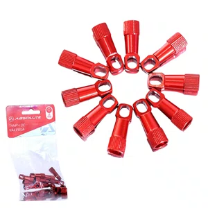 Tampa De Válvula Absolute Verm 10 Peçasㅤㅤㅤㅤㅤㅤㅤㅤㅤㅤㅤ