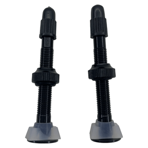 Valvula Alloy Tubeless TSW 48mm Preto