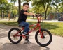 Bicicleta A20 Pro-x serie 5 Bmx Vermelho Acetinado
