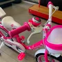 Bicicleta Aro16 Pro-X Lavinia Rosa