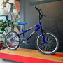 Bicicleta Dalannio Boy Aro 20 Azul