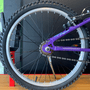 Bicicleta Dalannio Melissa Aro 20 Violeta