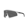 Oculos HB Ion Cristal/Graphit Silver