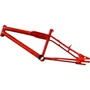 Quadro Aro 20 Freestyle Roxx