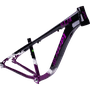 Quadro Hupi Naja V9 Horizontal Preto e Roxo e Branco