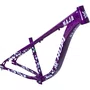 Quadro Hupi Naja V9 Horizontal Roxo 2ㅤㅤㅤㅤㅤㅤㅤㅤㅤㅤㅤㅤㅤㅤㅤㅤㅤㅤ