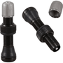 Valvula Tubeless Bico Grosso Schrader